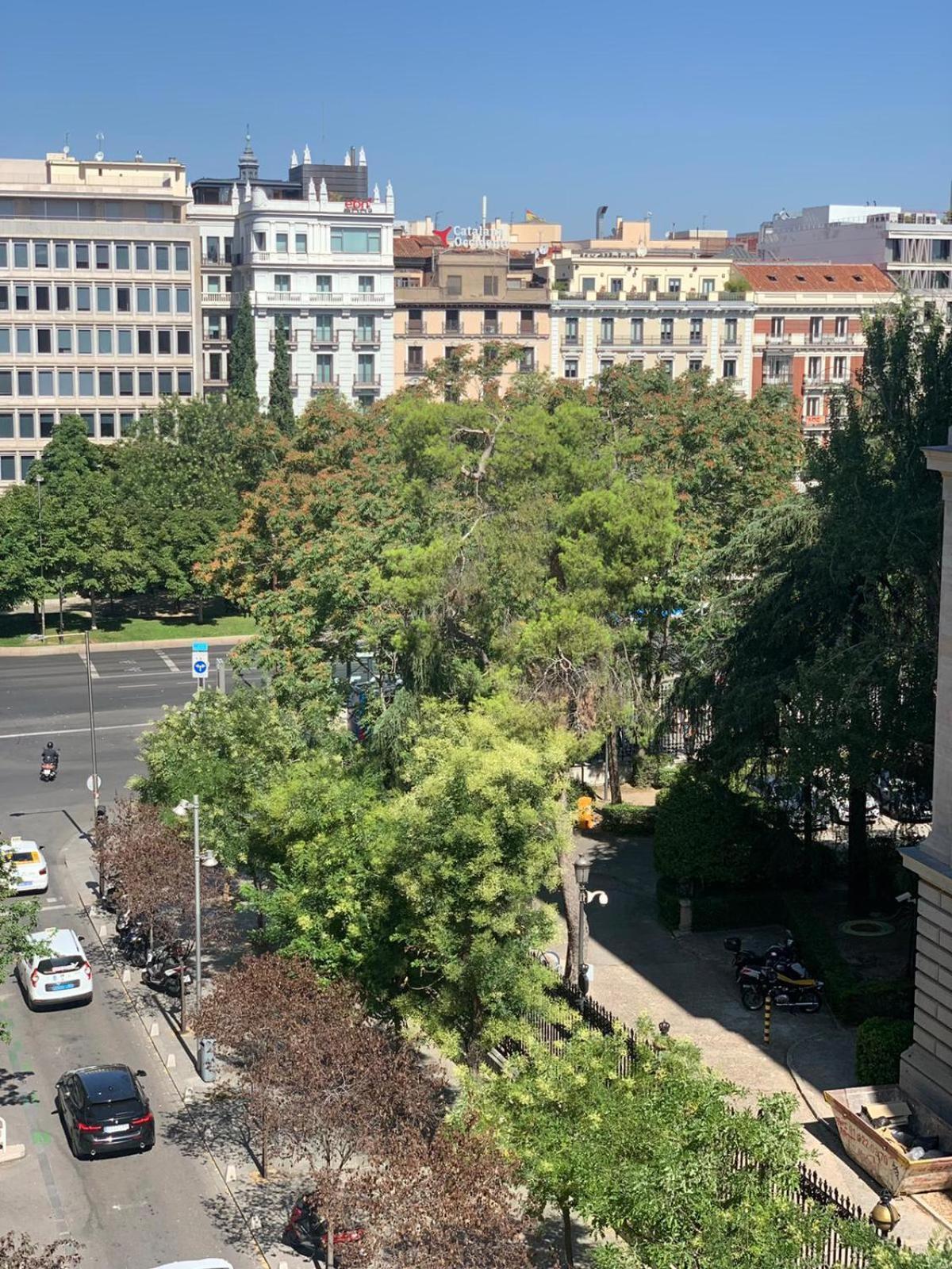 Luxury Studio Retiro Park & Prado Museum Мадрид Екстер'єр фото